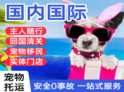 漠河机场空运国际宠物托运 【国